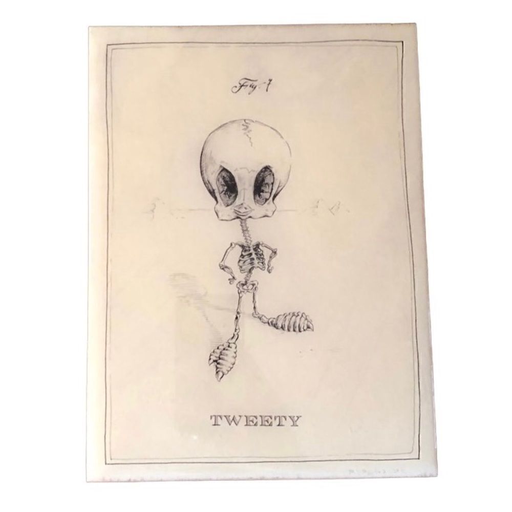 Tweety Bird Anatomical Skeleton Contemporary Art Pencil Signed Wood Panel